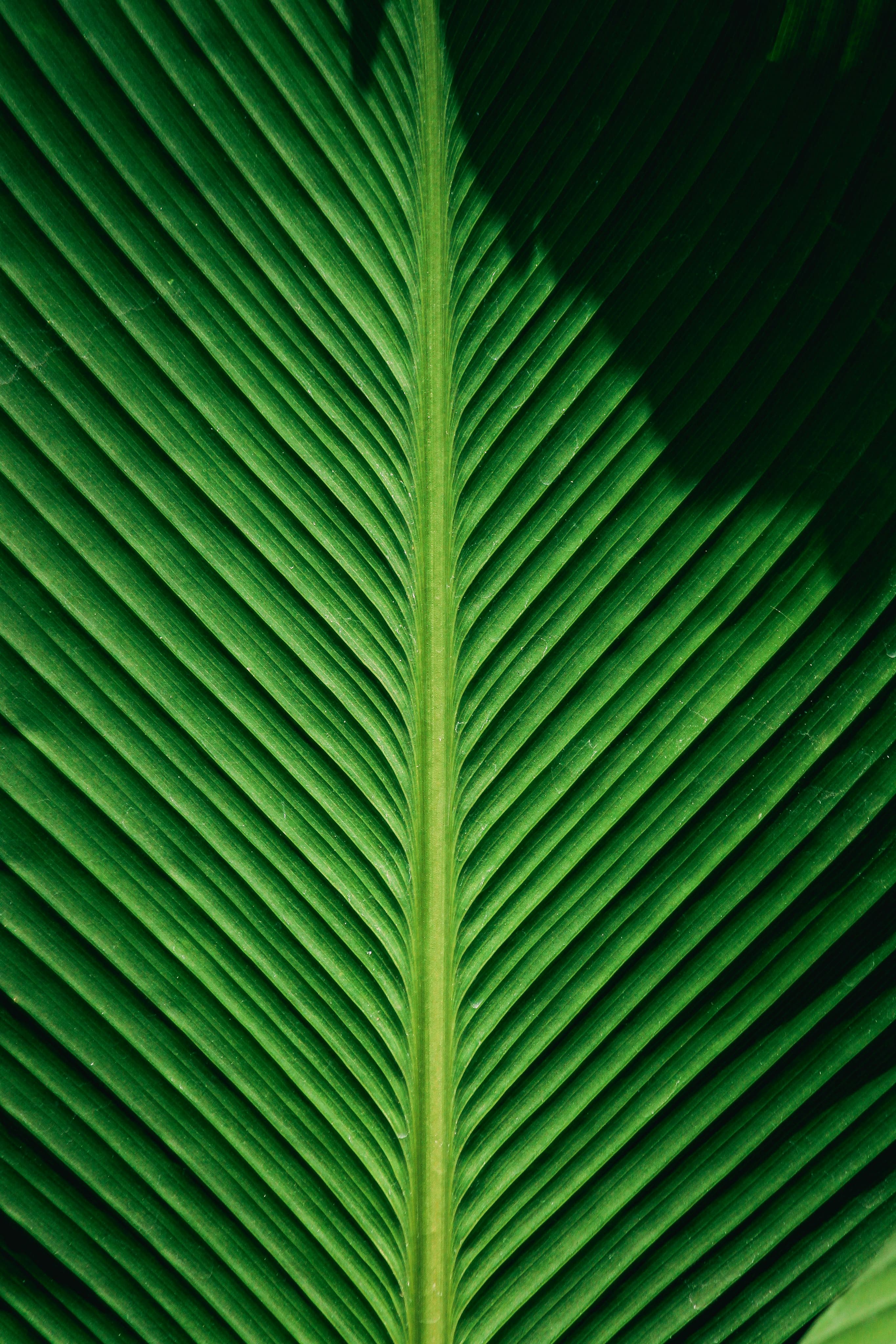 Business professionals discussing finances